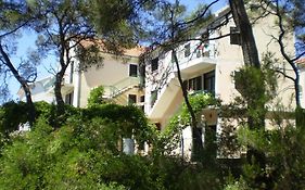 Villa Welcome
